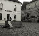 Serenade at fountain