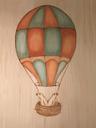 hot air balloon